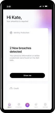 IDP